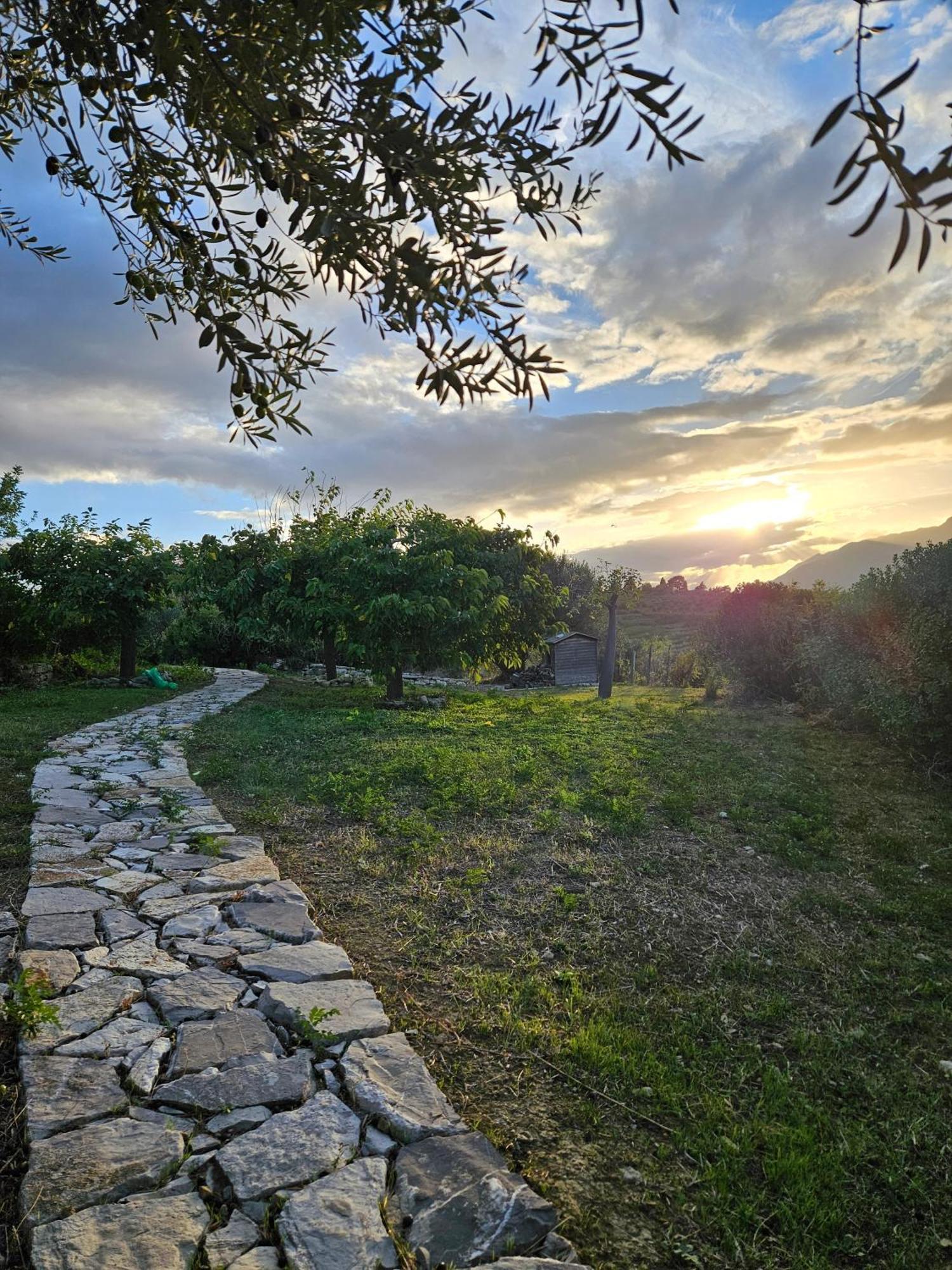 Del Carrubo A Due Passi Dal Mare Di Cefalù