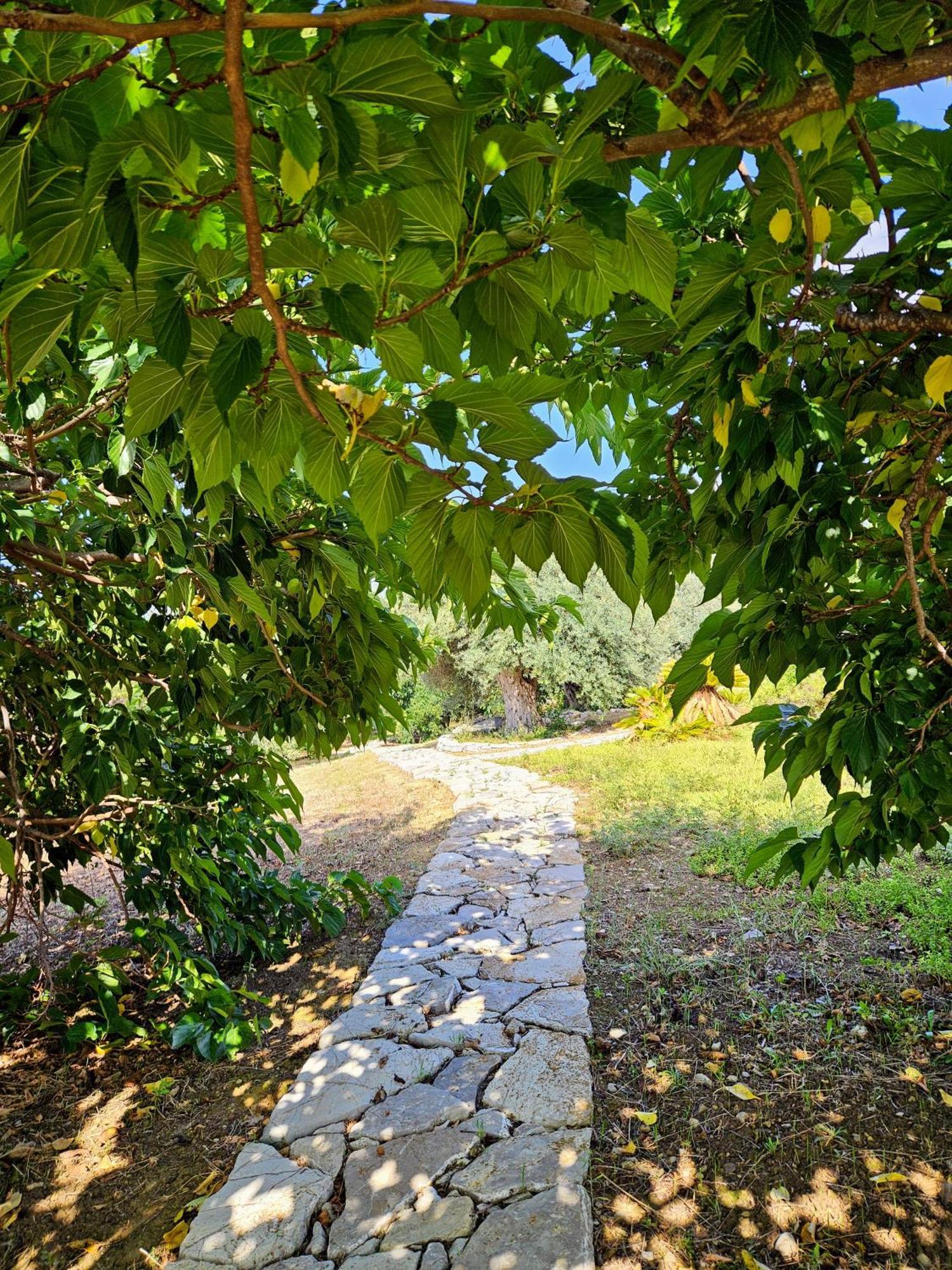 Del Carrubo A Due Passi Dal Mare Di Cefalu Villa *