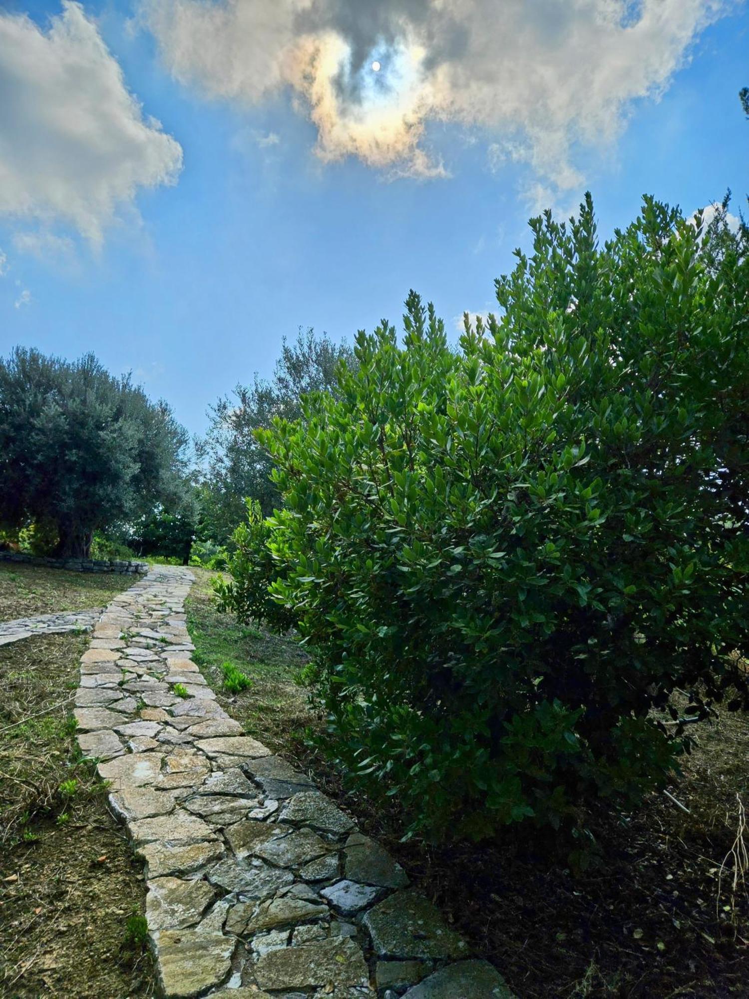 Villa Del Carrubo A Due Passi Dal Mare Di Cefalu